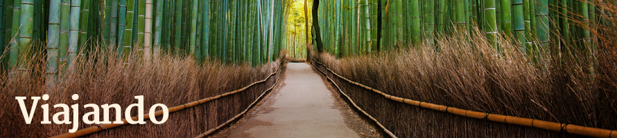 Sagano Bamboo Forest