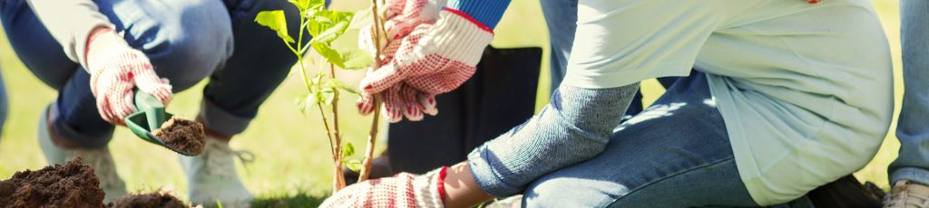 viagem com turismo social