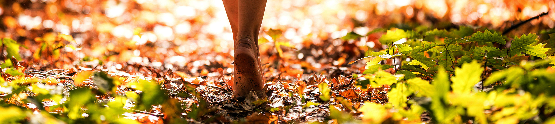 Earthing: uma nova maneira de cuidar do seu corpo