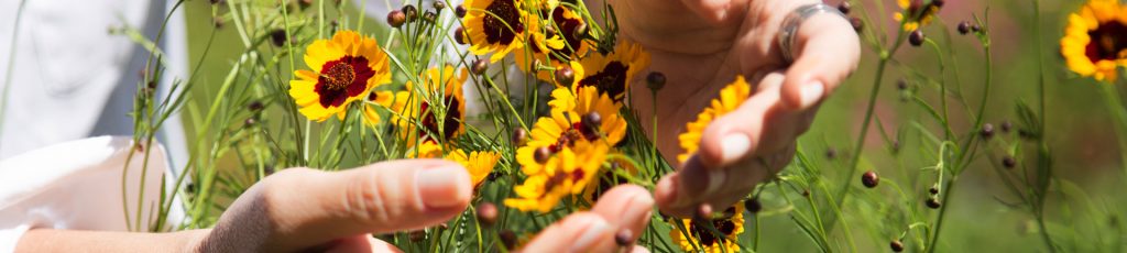 terapias reiki e florais de bach