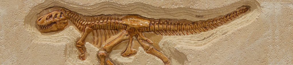 Vale dos dinossauros
