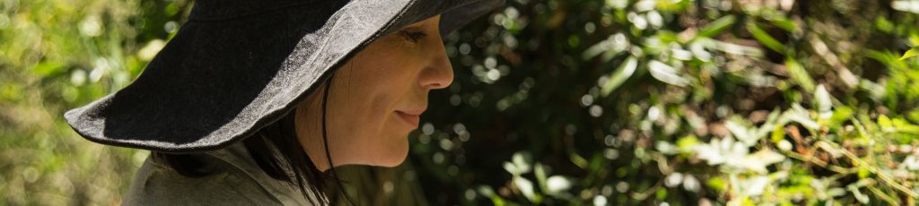 Ecoturismo no Brasil