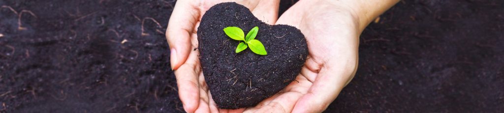 Reutilizar coisas em casa e proteger o meio ambiente
