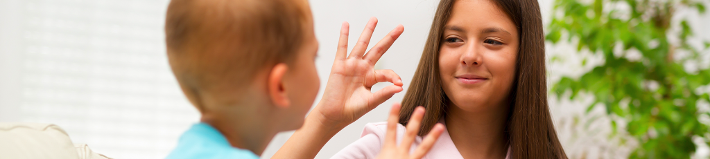 Língua Brasileira de Sinais