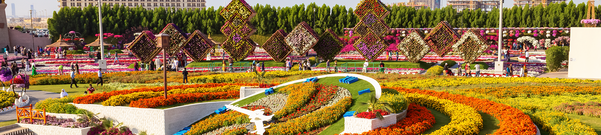 Dubai Miracle Garden, o maior jardim do mundo