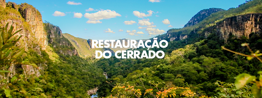 Coletores de Sementes – Restauração do Cerrado