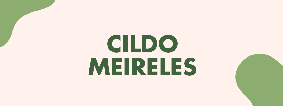 Cildo Meireles: [des]ordenando a [ir]realidade