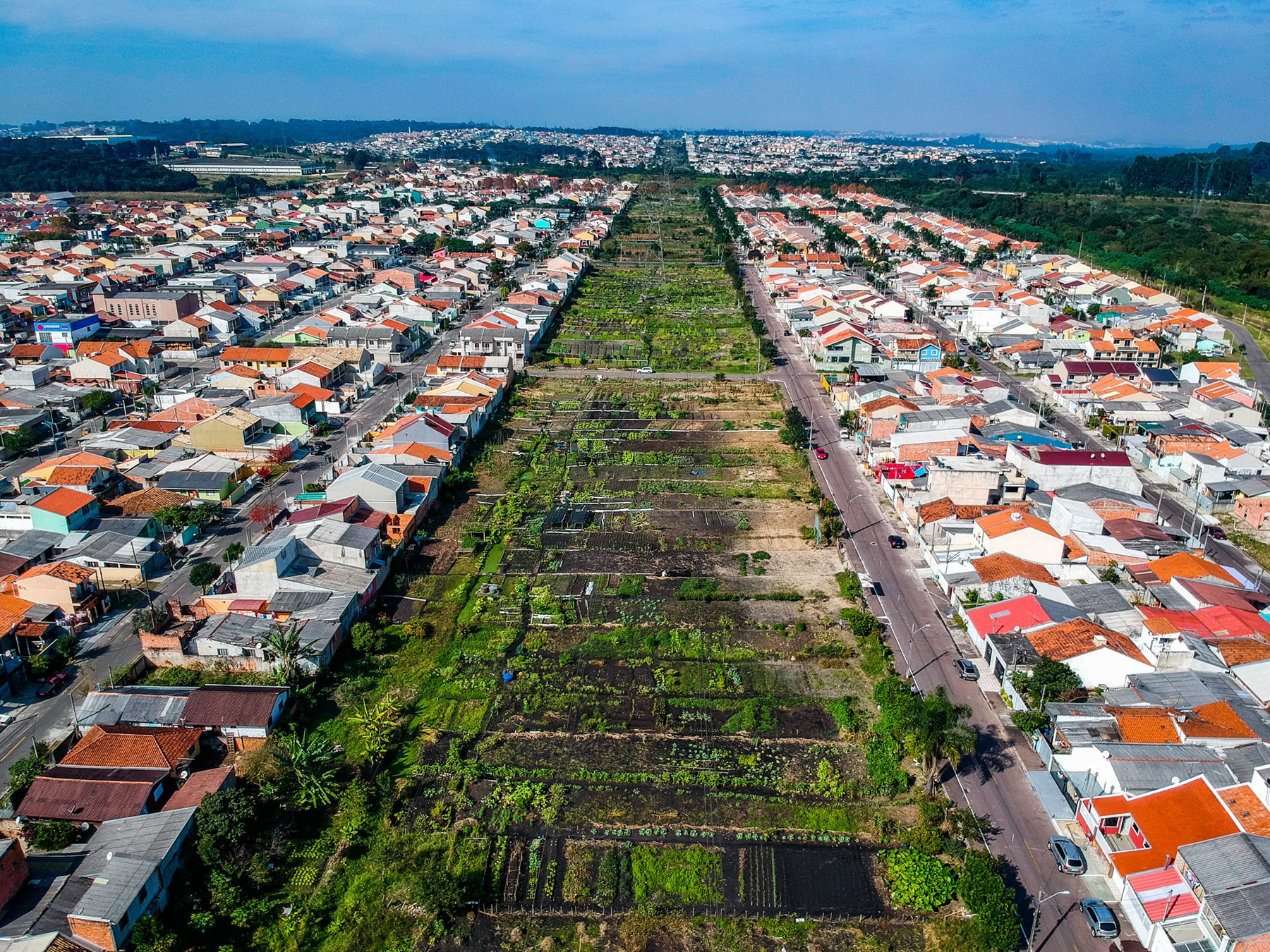 Horta Urbana de Curitiba