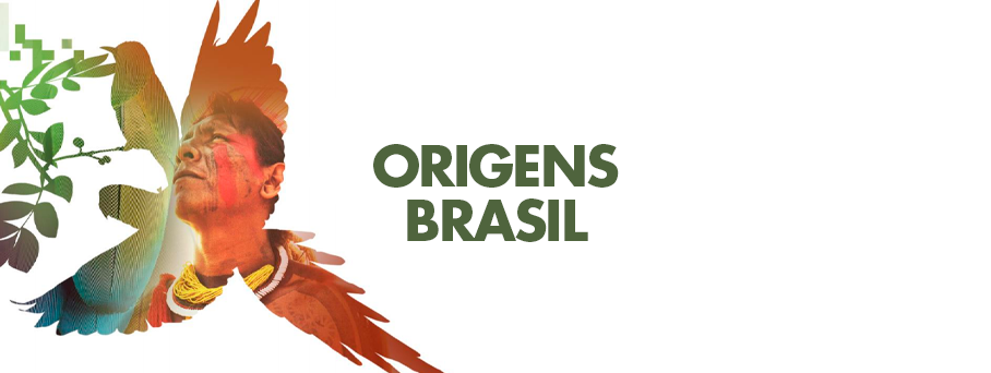 Origens Brasil