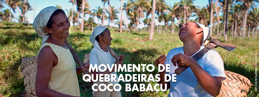 Movimento de Quebradeiras de Coco Babaçu