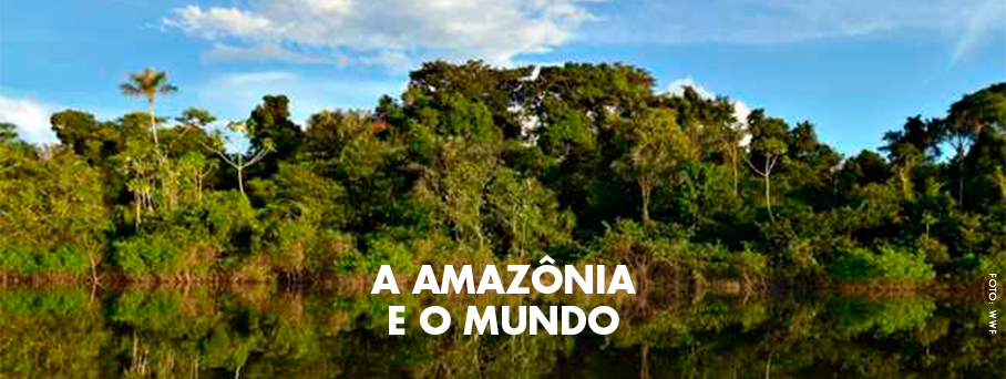 Amazônia: berço do clima no Brasil e no mundo