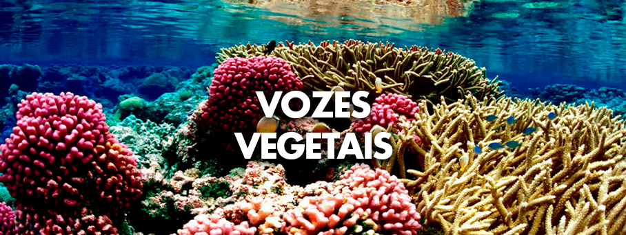 Vozes Vegetais