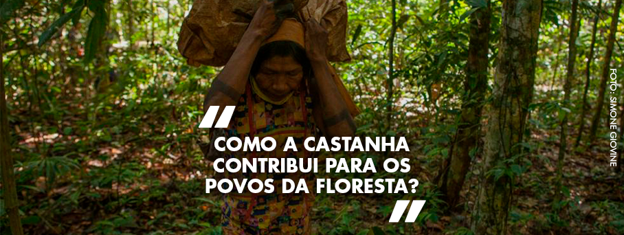 Como a castanha contribui para os povos da floresta