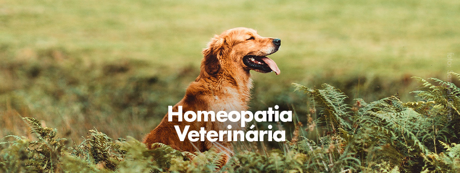 Homeopatia Veterinária