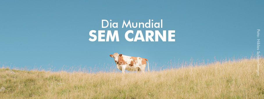 Dia Mundial sem Carne